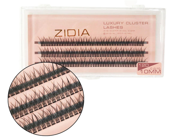 ZIDIA Cluster Lashes cola de pez 12D C 0.10 (3 tiras, tamaño 10 mm)