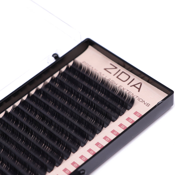 ZIDIA Premium Lash Extensions - вії для нарощування (20 стрічок) C0,10 х 8 мм