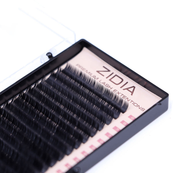 ZIDIA Premium Lash Extensions - вії для нарощування (20 стрічок) C0,10 х MIX (6-13 мм)