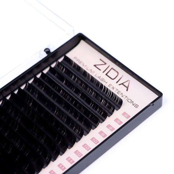 ZIDIA Premium Lash Extensions - eyelash extensions (20 strips) D0.10 x MIX M (8-16 mm)